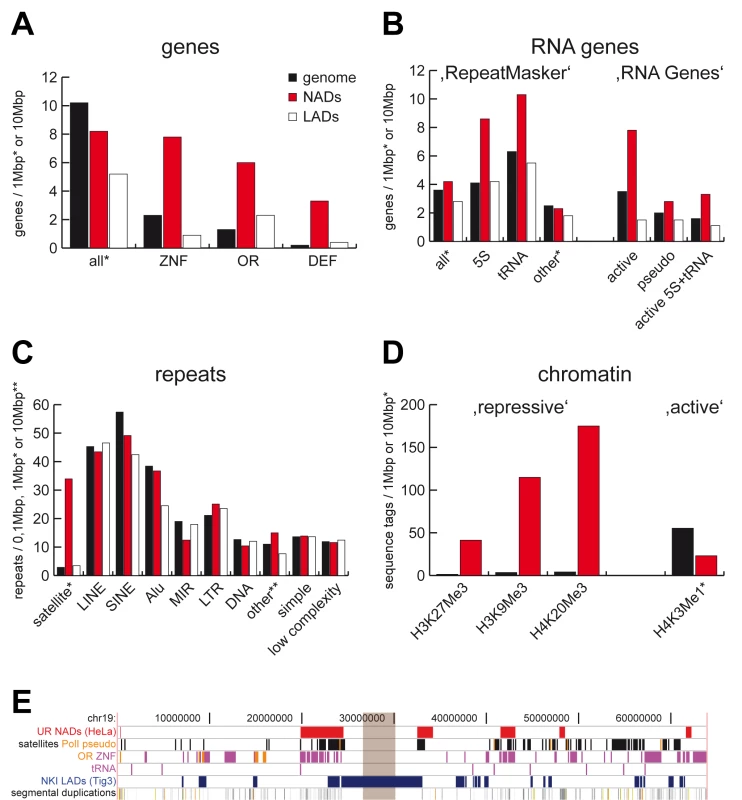 Sequence and chromatin features of NADs.