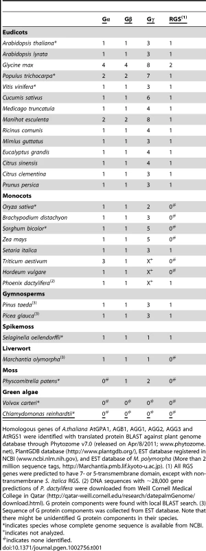G-protein components found in genome or EST databases of the land plant kingdom.