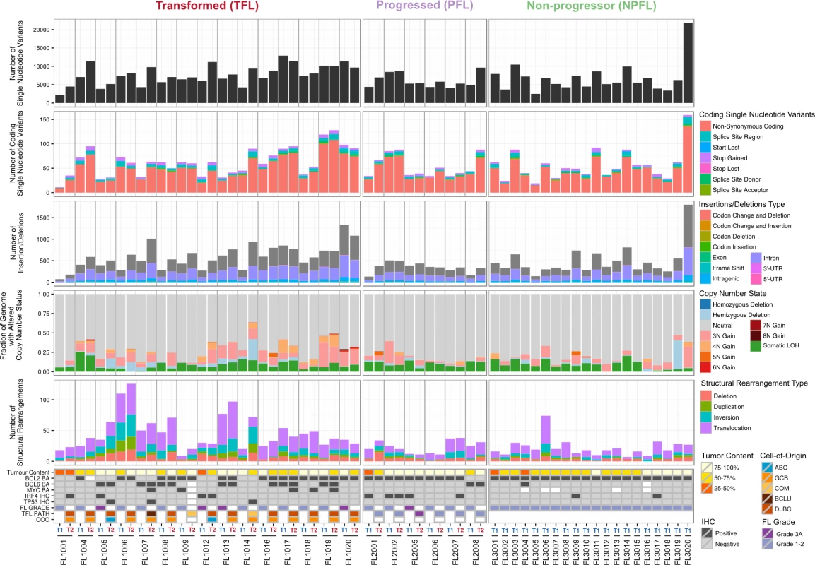 High-level WGS analysis overview.