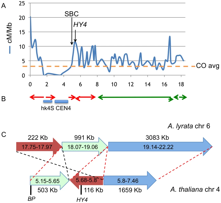 Colocalization of breakpoints with recombination hotspots and chromosome rearrangement events.