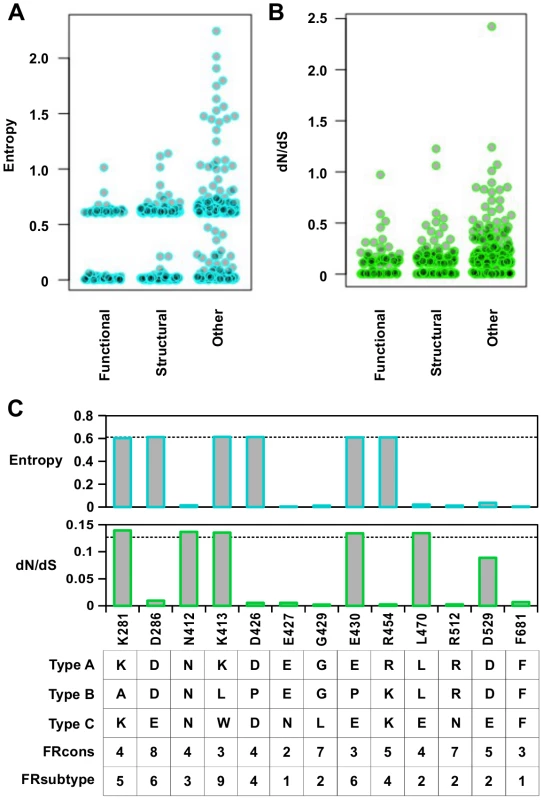 Sequence entropy analysis.