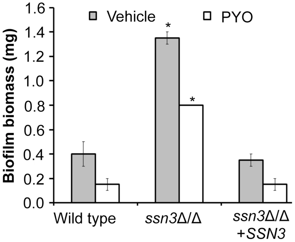 Mutation of <i>SSN3</i> increases biofilm formation.