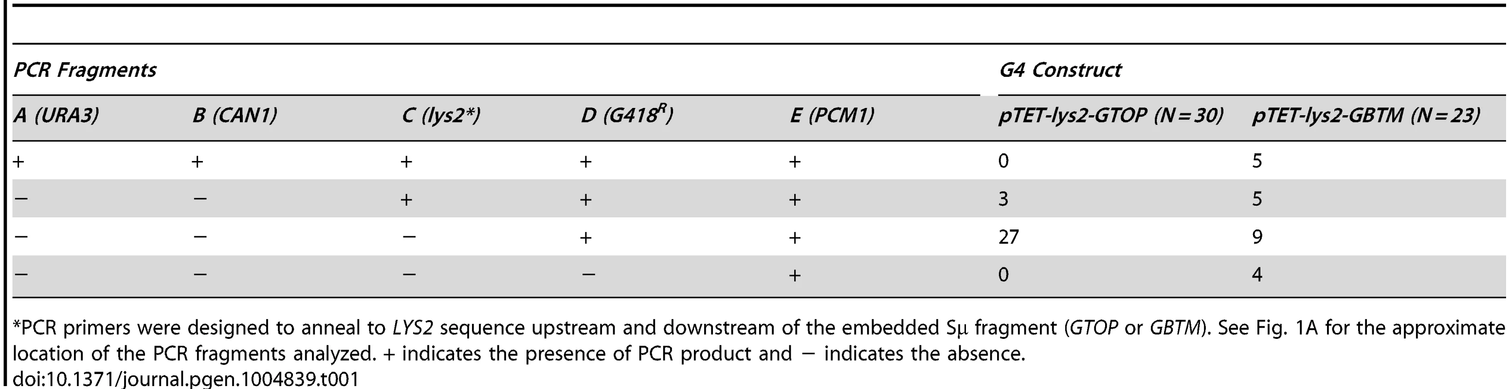 PCR analysis to map GCR breakpoints.