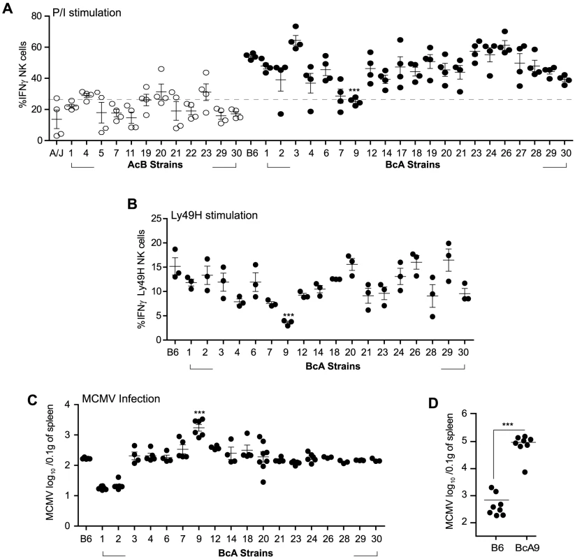 Decreased IFNγ production by NK cells in A-<i>Ly49h</i> mice occurs independently of the NKC and H2 and is linked to MCMV susceptibility.