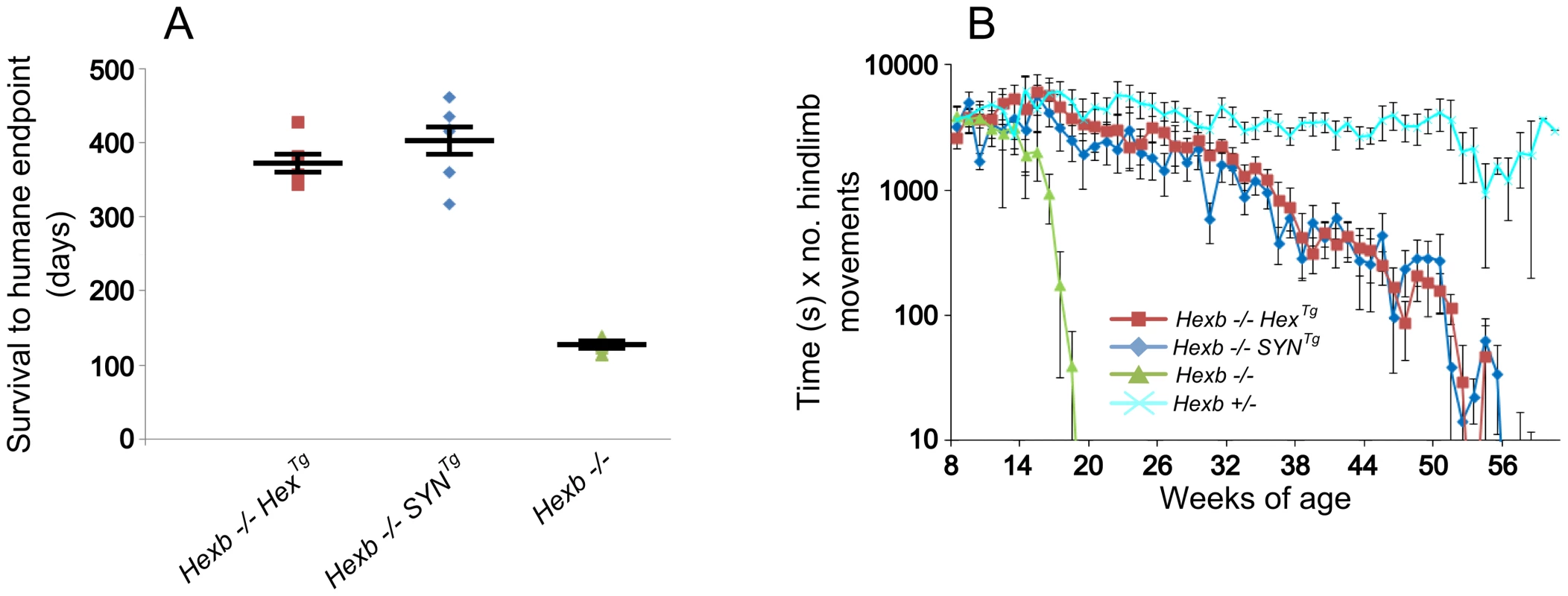 Inducible transgenic constructs rescue mice from Sandhoff disease.