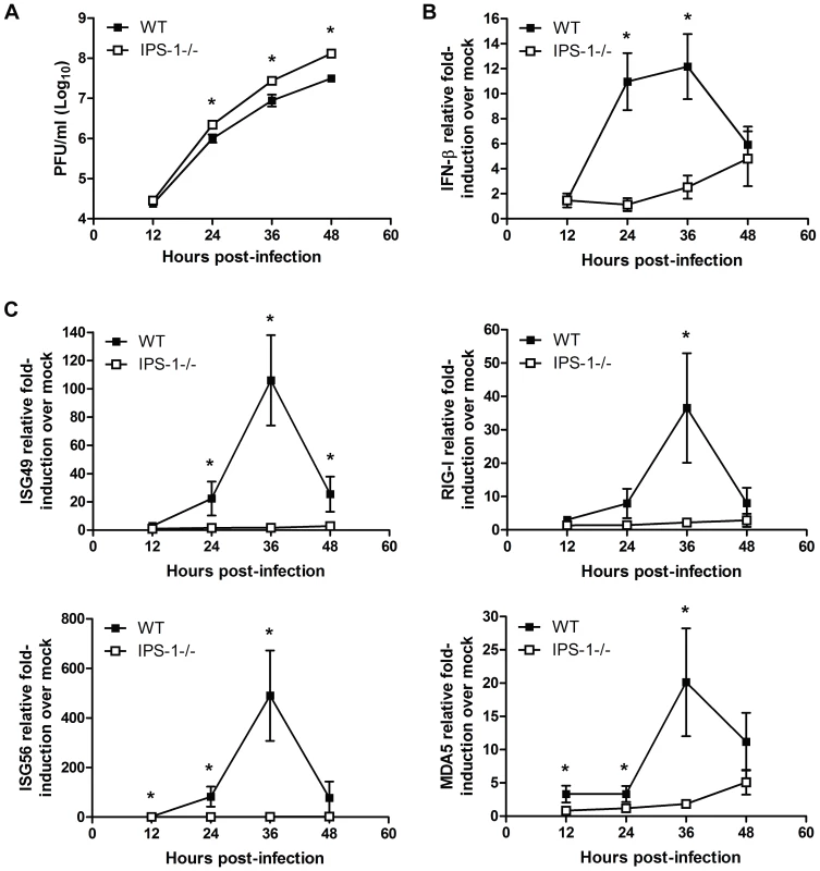 IPS-1 is essential for triggering innate immune defenses and controlling virus replication during WNV infection of primary cortical neurons.