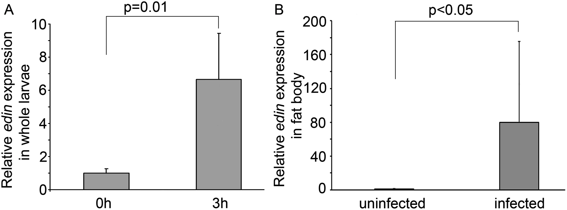 <i>Edin</i> expression is induced upon a wasp infection.