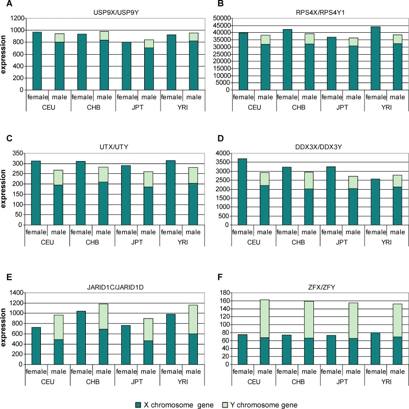 Evidence That Expression of the Y-linked Copy of XY Gene Pairs Can Maintain Dosage Compensation