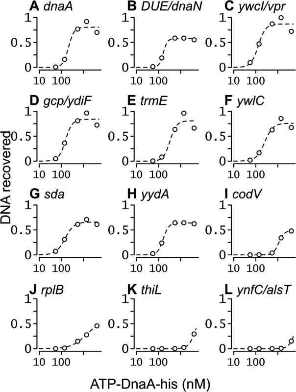 Binding curves for ATP-DnaA-his for selected chromosomal regions.
