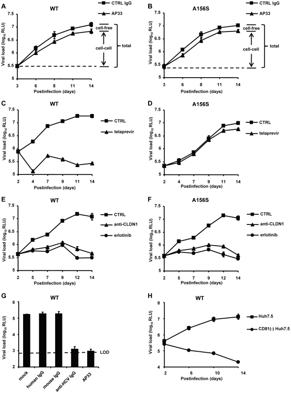 The spread of DAA-resistant viruses is resistant to neutralizing antibodies against HCV but is efficiently inhibited by HTEIs.