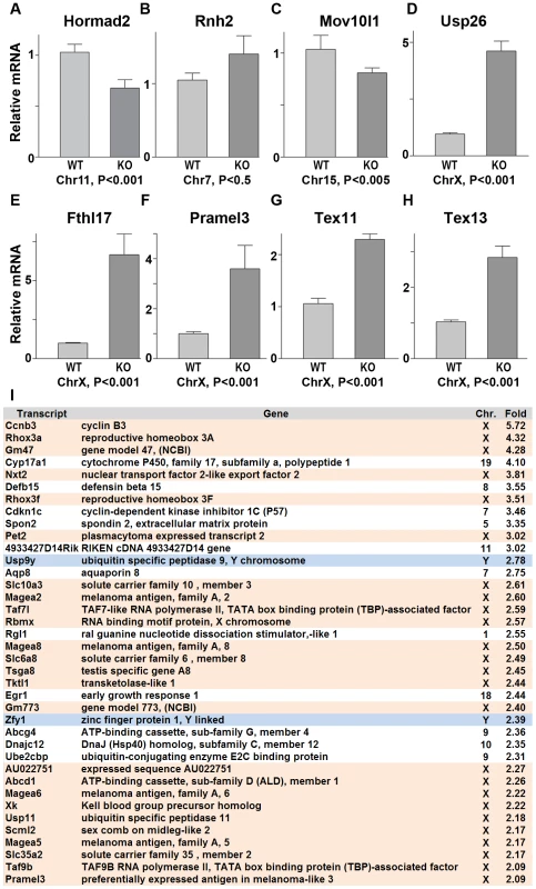 Sex chromosome expressed transcripts escape meiotic sex chromosome inactivation in <i>Hormad <sup>−/−</sup></i> spermatocytes.