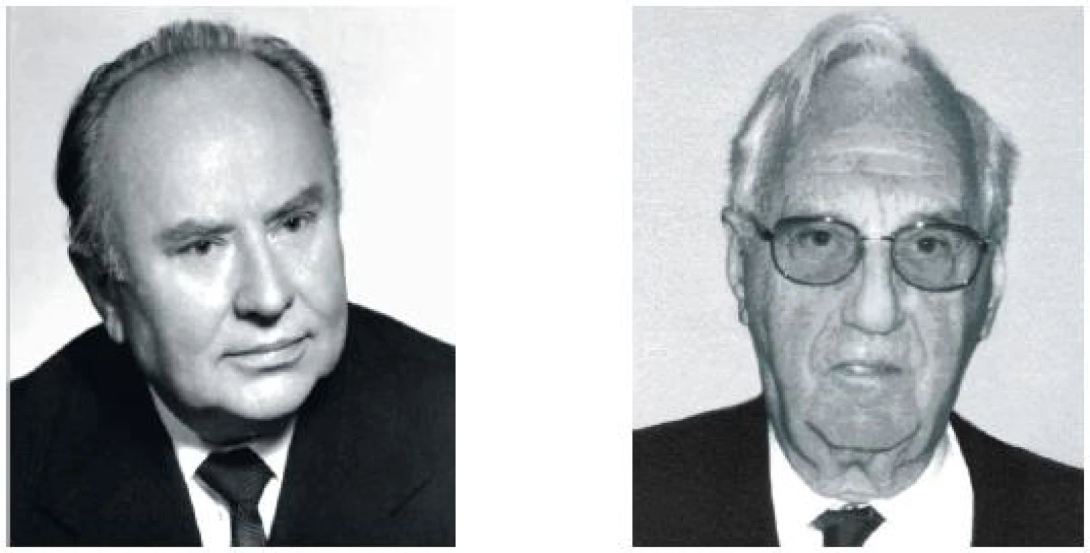 Vladimír Lemon, Jiří Pokorný