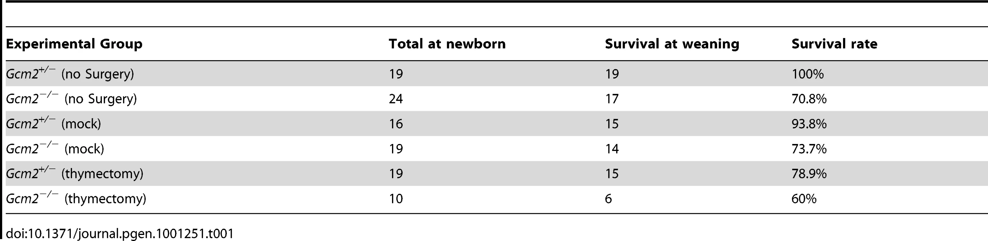 Survival rates of thymectomized <i>Gcm2</i><sup>−/−</sup> mutants and <i>Gcm2</i><sup>+/−</sup> control littermates on the 129S6 background at weaning.
