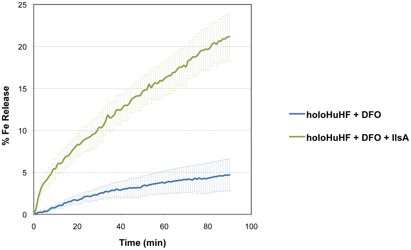 Role of IlsA in iron mobilization from ferritin.