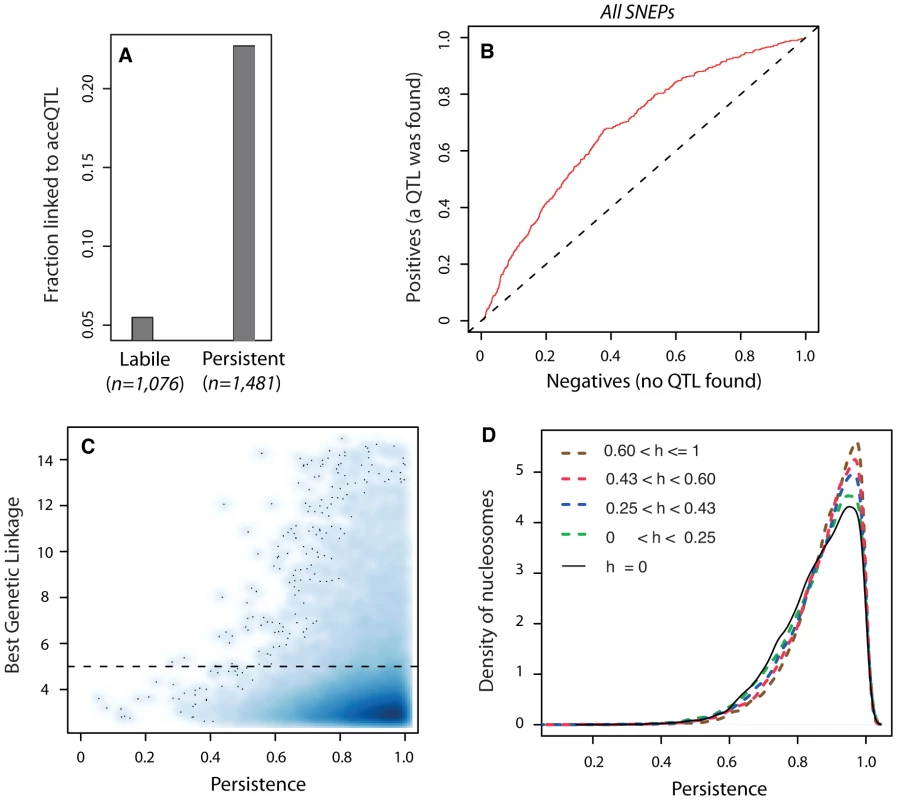 Genetic control antagonizes epigenetic lability.