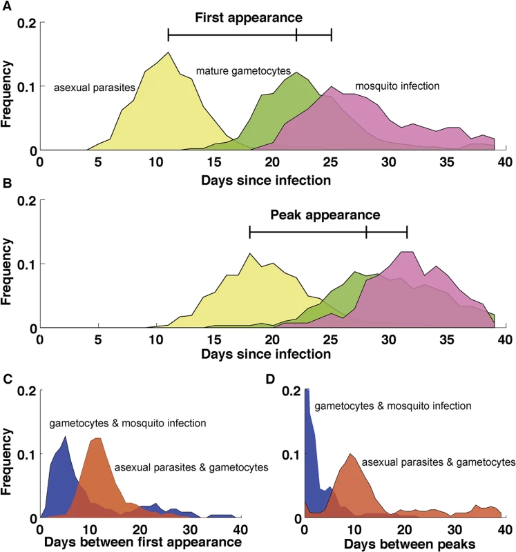 Dynamics of <i>P</i>. <i>falciparum</i> in malaria therapy patients.