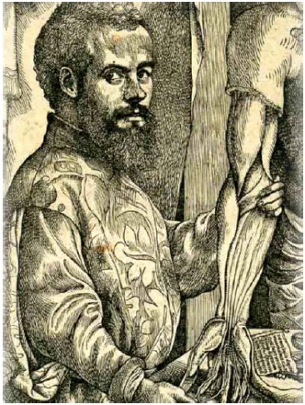 Andries van Wesel Vesalius (1514–1564)
Fig. 2 Andries van Wesel Vesalius (1514–1564)
