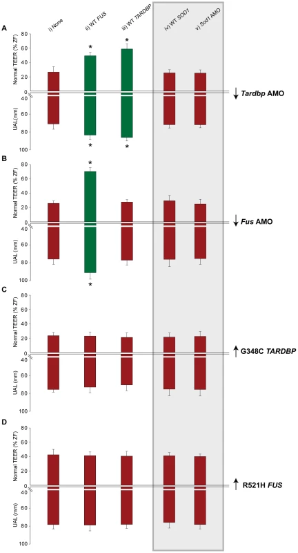 <i>FUS</i> and <i>TARDBP</i> genetically interact independently of <i>SOD1</i>.
