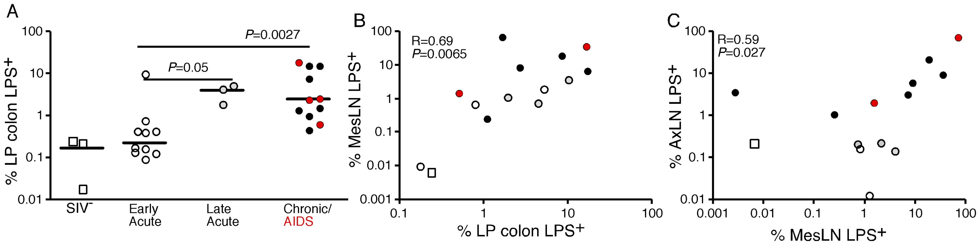 Quantitative image analysis of microbial translocation.