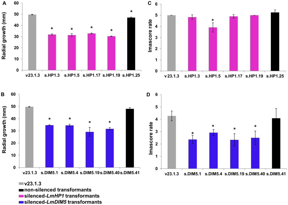 Effect of <i>LmHP1</i> and <i>LmDIM5</i> silencing on growth and pathogenicity of <i>L. maculans</i>.