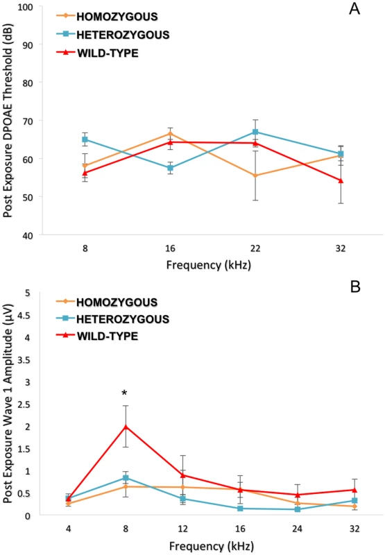 Topographical analysis of the auditory pathway at different frequencies (post-noise exposure).