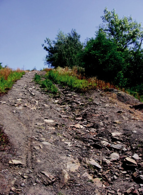 Halda B („Emma“), horní partie
Fig. 4. Site B (slag heap Emma), upper part