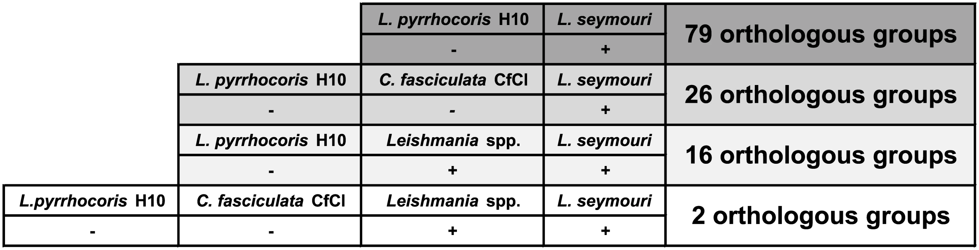 Orthologous group presence (denoted by "+")/absence (denoted by "-") patterns for <i>Leptomonas seymouri</i>, <i>Leptomonas pyrrhocoris</i>, <i>Crithidia fasciculata</i>, and several <i>Leishmania</i> species.