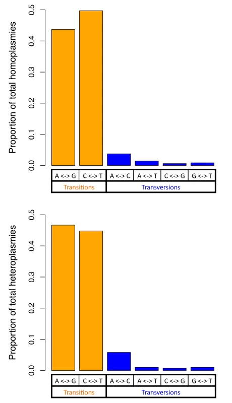Two classes of base changes for homoplasmies and heteroplasmies.