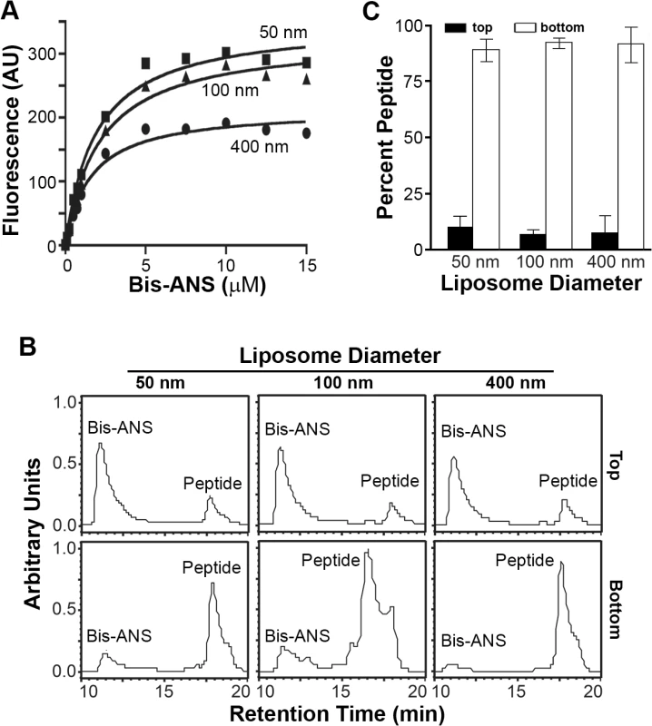 Partitioning of p15HPpep into liposomes is based on curvature-dependent hydrophobic defects.