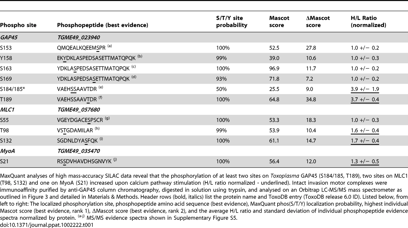 SILAC-based quantitation of changes in the phosphorylation of invasion motor components upon calcium pathway stimulation.