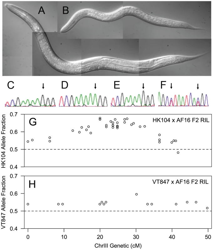 F2 slow-growth phenotype is linked to ChrIII.