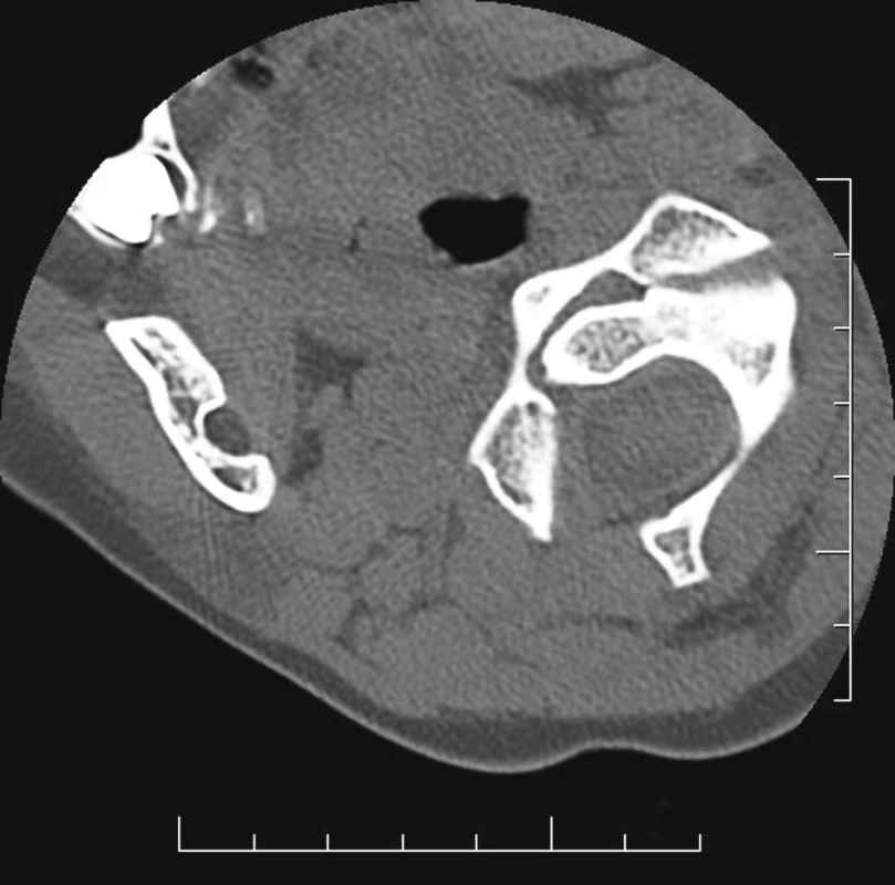 <br>Fig. 1.