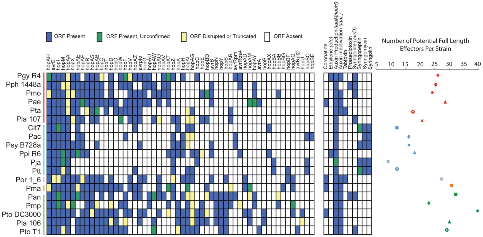 <i>P. syringae</i> isolates harbor extensive diversity in virulence gene repertoires.