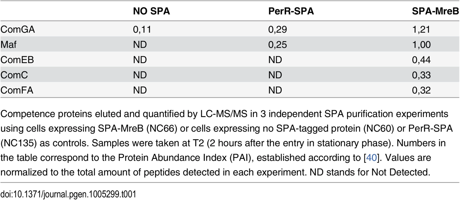 MreB is in complex with competence proteins.