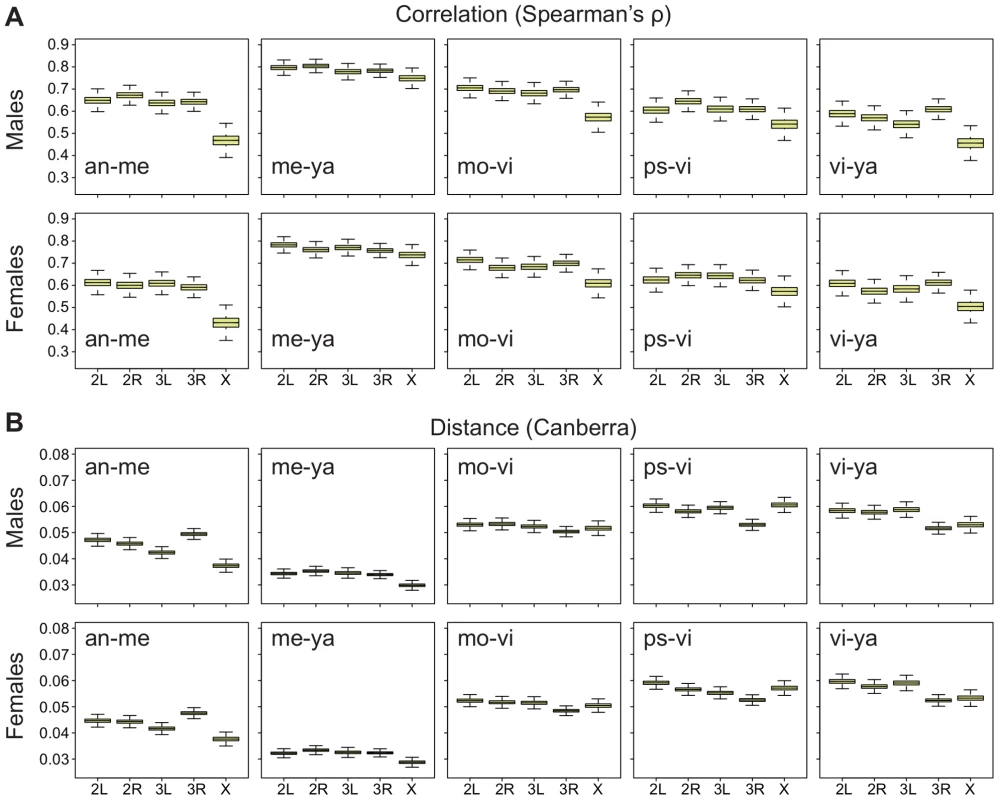 Divergence on the X in adults is greater using Spearman's