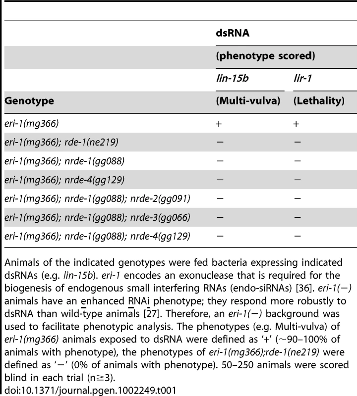 <i>nrde-1</i> is required for silencing nuclear localized RNAs.