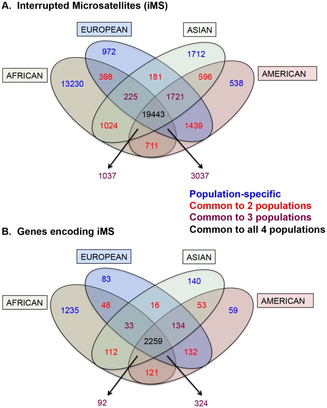 Distribution of interrupted microsatellites in human 1000 genomes populations.