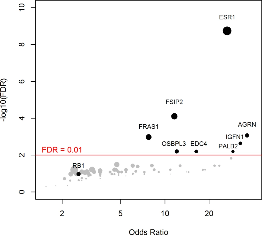 Genes more frequently mutated in mBC as compared to eBC (TCGA).