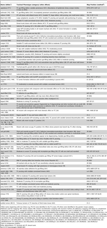 Tracheal morphogenesis mutant collection.