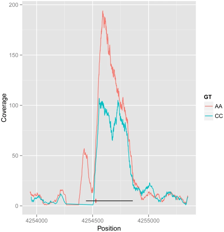 Example of CTCF peak shape QTL.
