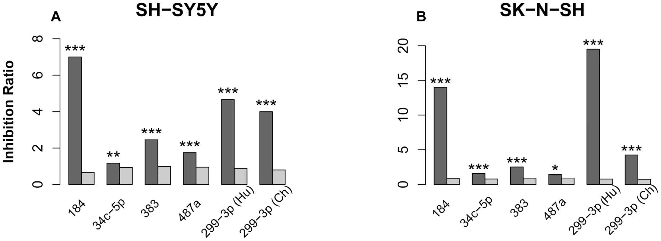 miRNA transfection effects in two cell lines.