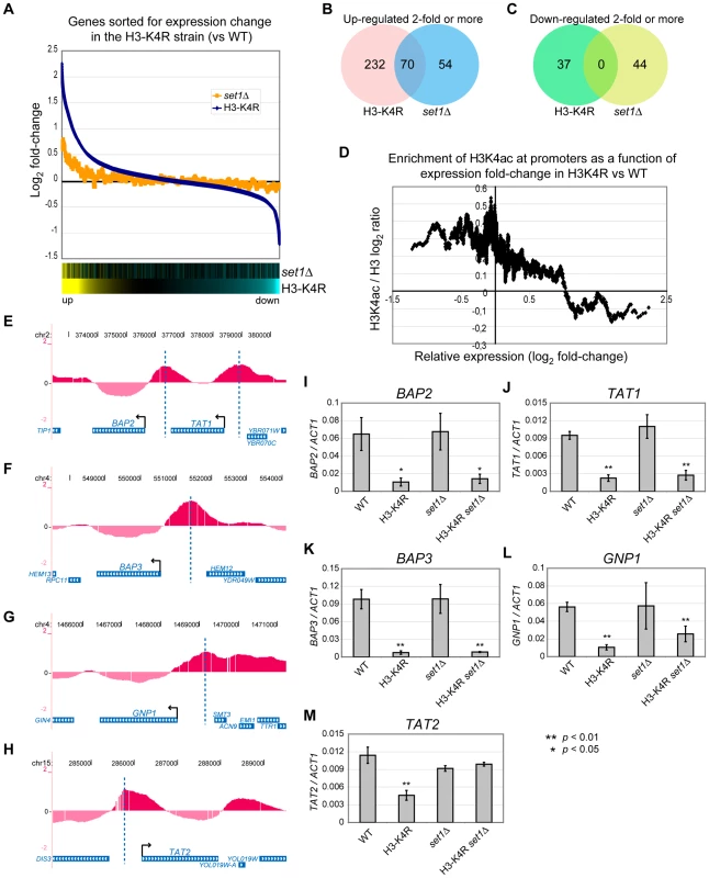 Global mRNA Expression Profiles of <i>set1</i>Δ and <i>H3-K4R</i> Mutant Strains.