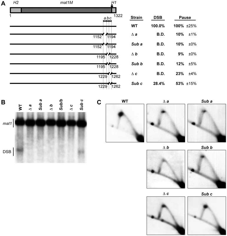 Characterization of a cis-acting region named <i>abc</i> that is required for replication pausing and imprinting.