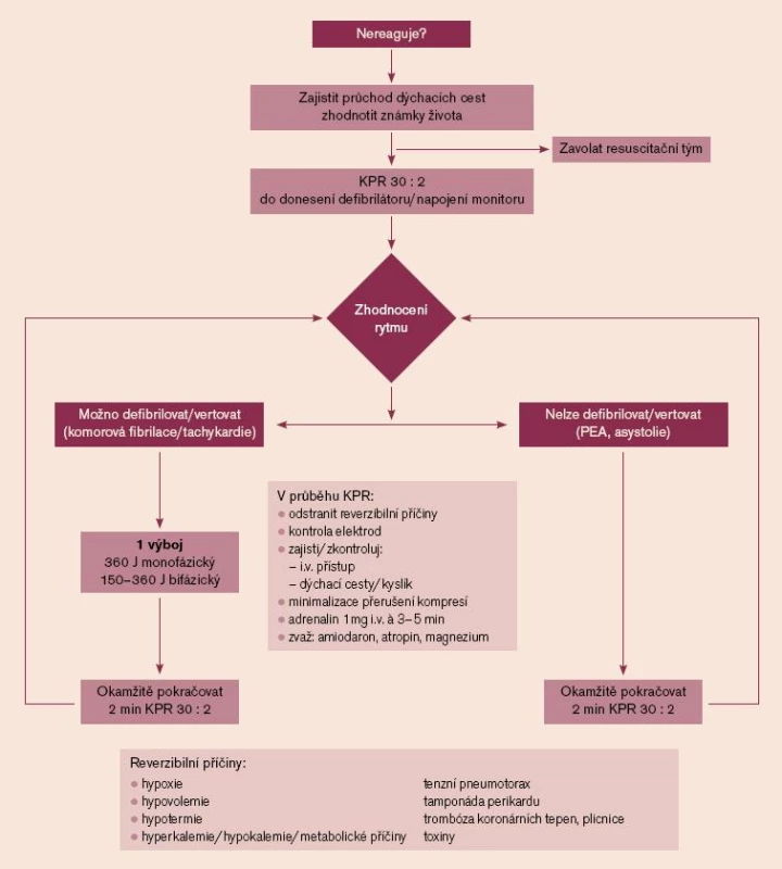 Algoritmus ALS u dospělých při mimonemocniční zástavě [25]. ALS (advance life support) – rozšířená neodkladná resuscitace.