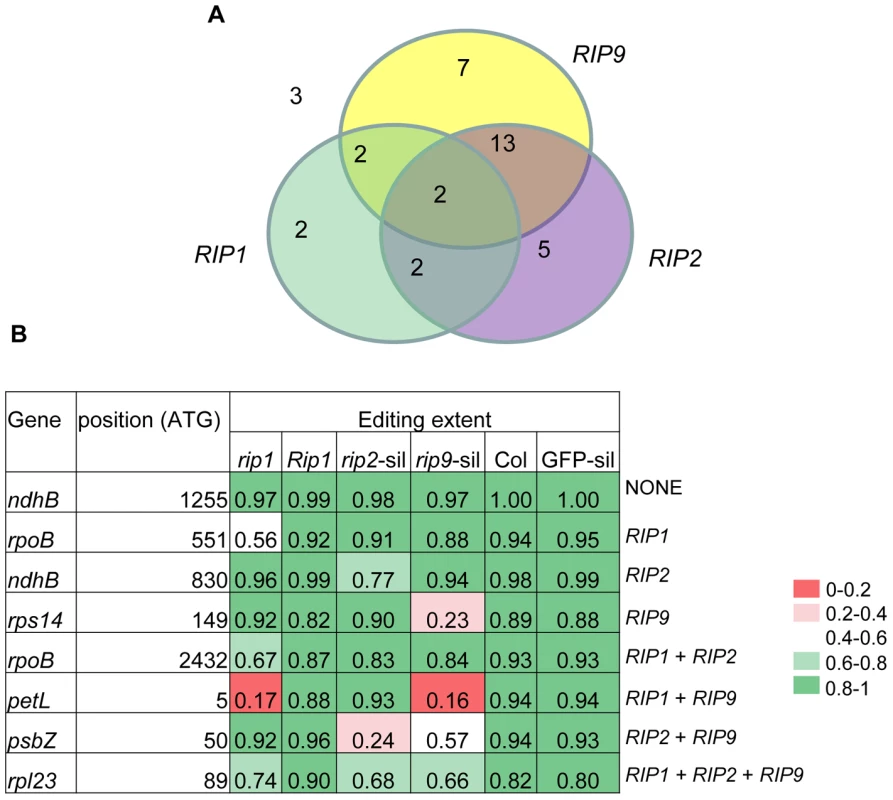 Relative importance of RIPs on plastid editing.