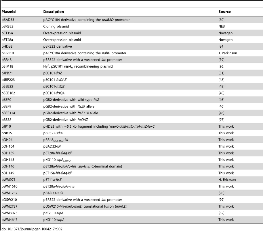 Plasmids used in this study.