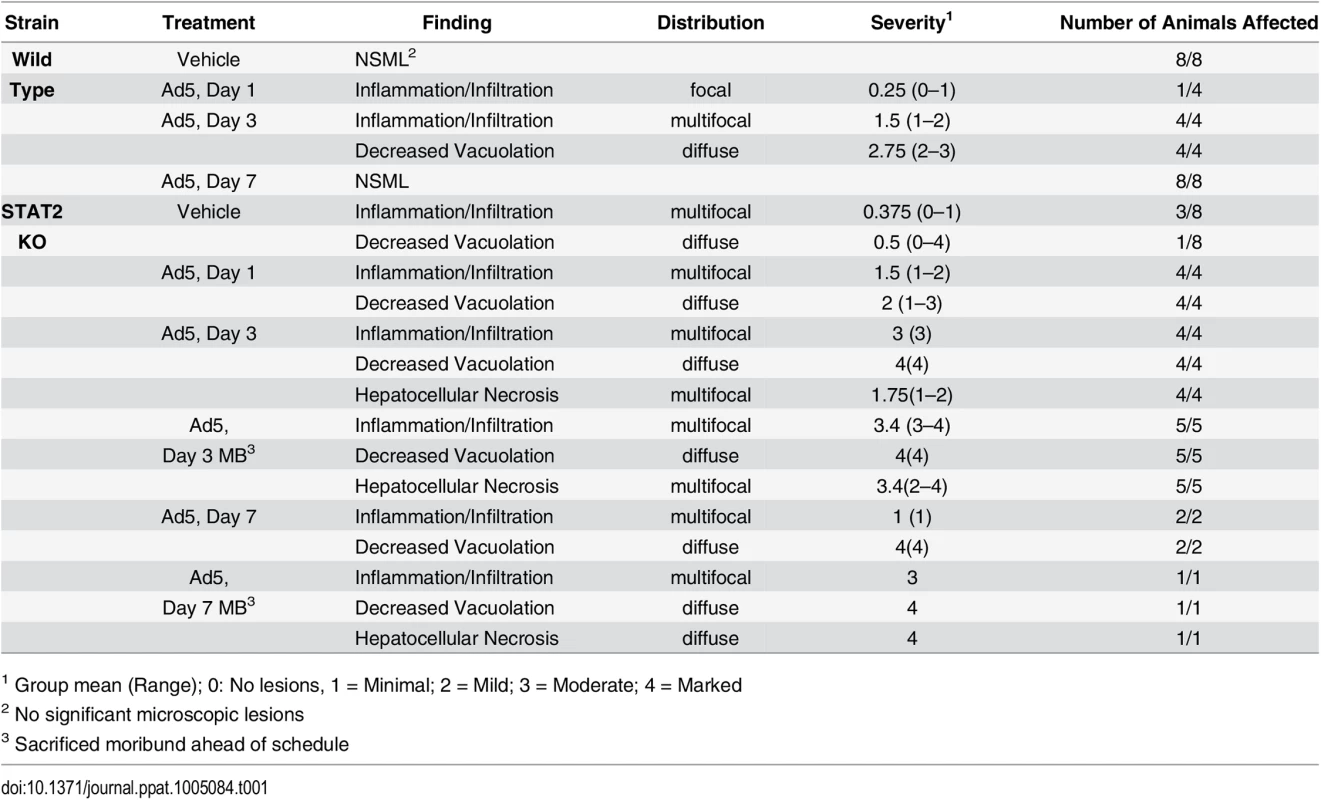 Histopathological findings in the liver.