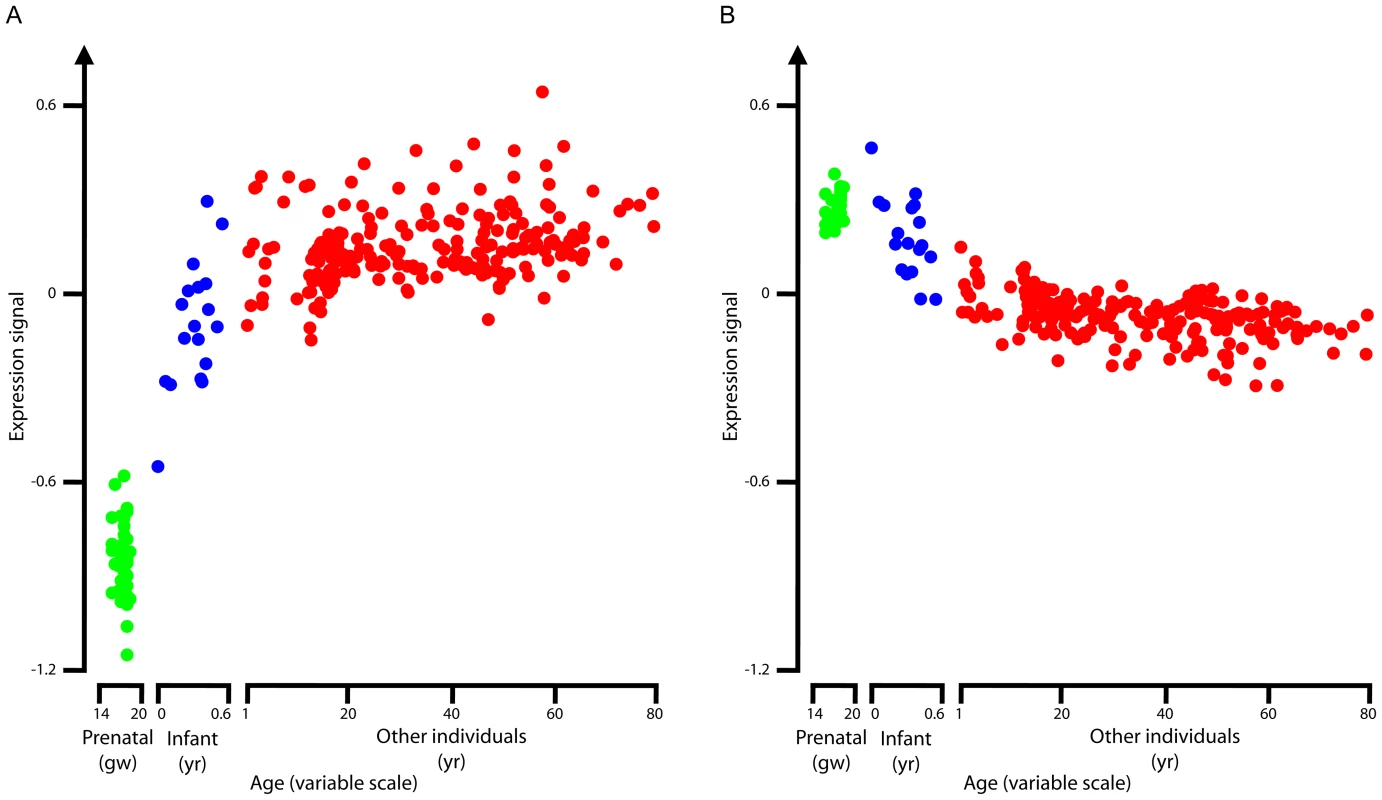 Average RNA expression levels.