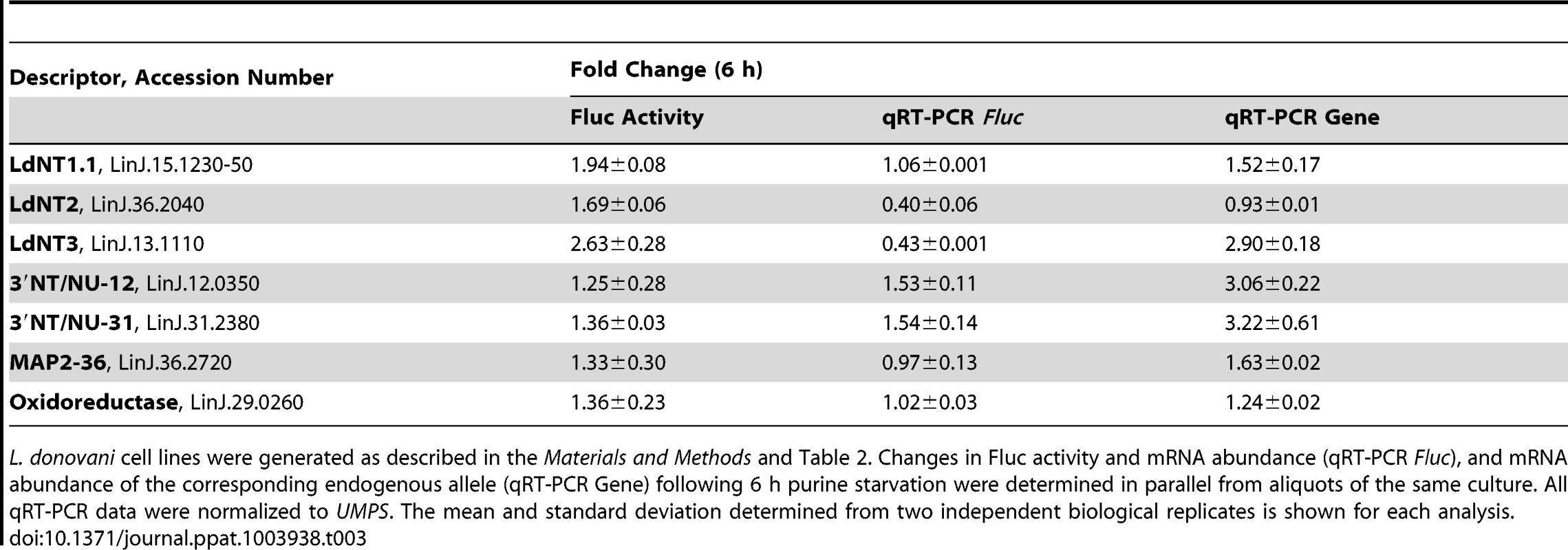 Elucidation of the molecular mechanisms in the early response to purine starvation.