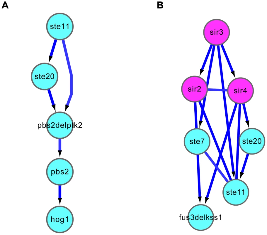 Causal relationships predicted by DM_BN.